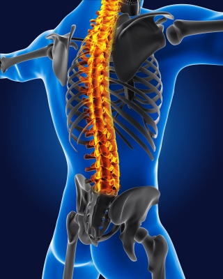 Use of Enabling Technologies in the Management of Primary Spinal Column Tumors Banner